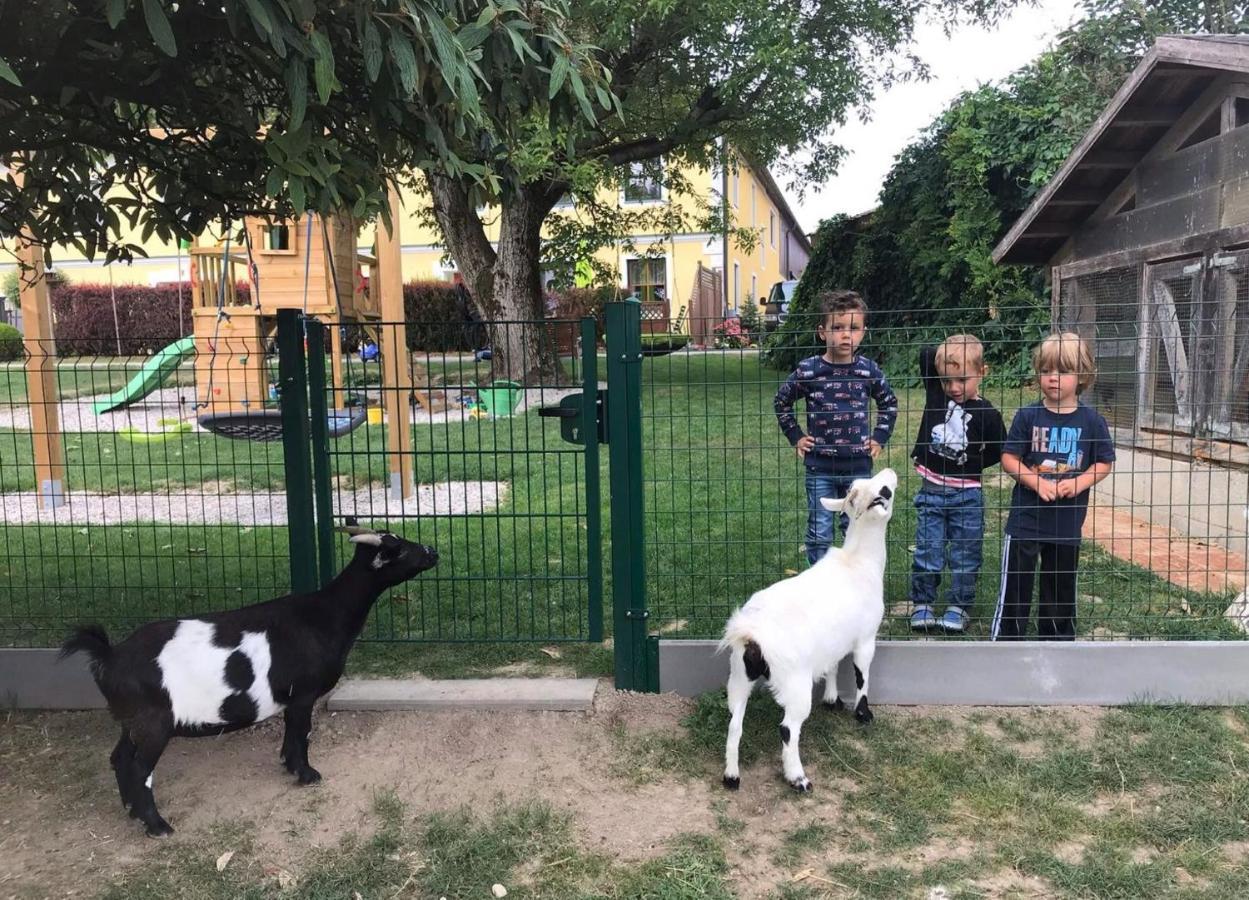 הוילה שטיינקירשן אם פורסט Familienbauernhof Strassbauer מראה חיצוני תמונה